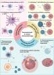 Tiny materials, stronger antitumor immunity