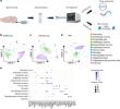 Butyrate Relieves Temporomandibular Joint Pain Through Epigenetic Regulation