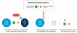 Which CRO Is Good at Protein Degradation?
