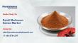 Reishi Mushroom Extract Market to Reach US$17.4 bn by 2033 on Wellness Demand
