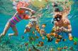 Where the Soul Exhales: Thailand's Rise as the Ultimate Destination for Women Travelling Together