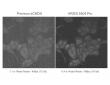 Tucsen Begins Shipping Next-Generation sCMOS Camera With High QE and Ultra-Low Read Noise