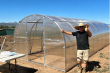The Grow-Your-Own Food Movement: Why More American Families Are Turning to Home Greenhouses - and to YourGreenhouses.