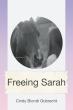 Freeing Sarah Blends Romance, Courage, and the Powerful Bond Between a Woman and Her Horse