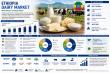 Ethiopia Dairy Market 2026-2034 | Size, Share, Price, Opportunity