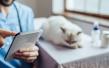 Veterinary Telemedicine Market Is Booming So Rapidly Growth by 2033 | Linkyvet, Oncura Partners, Vetchat