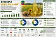 Ethiopia Edible Oil Market 2026-2034 | Size, Share, Price, Demand