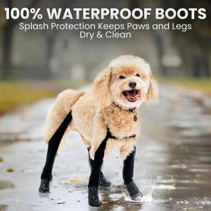 Experts Warn Pet Owners About Hot Pavement Risks as Temperatures Rise 18 Walkee Paws dog boot leggings