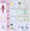 Closing the loop on disease: How circular RNAs are reshaping diagnosis and therapy