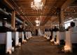 Four West Michigan Wedding Venues Offering Free Wedding Websites with Online RSVP