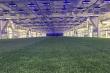 Wie Technologie das Management von Naturrasen in modernen Stadien verändert