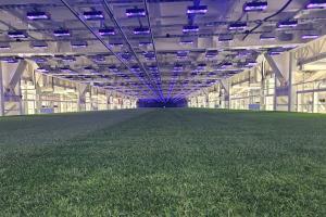 CLS Technology at Santiago Bernabéu - Real Madrid