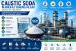 Caustic Soda Production Plant Setup, Feasibility Study, ROI Analysis and Business Plan Consultant