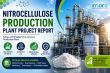 Nitrocellulose Production Plant Setup, Feasibility Study, ROI Analysis and Business Plan Consultant