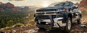 Rover Bull Bar