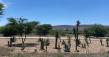San Miguel de Allende Land Values in 2026: New Infrastructure Increases Price Growth Along SMA–Dolores Hidalgo Corridor