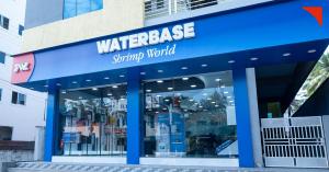 D'Art Executes An Immersive Store Design Project for Waterbase