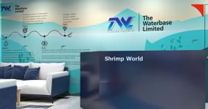 D'Art Executes An Immersive Store Design Project for Waterbase