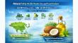 Natural Fatty Acids Market Size Valued at US$ 20.5 Bn in 2026, Projected to Reach US$ 29.2 Bn by 2033 at a CAGR of 5.2%