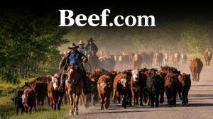 Cattle Ranchers Updated