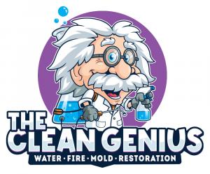 The Clean Genius Expands Water Damage Restoration Services Along the Entire Fox River Corridor 13 the clean genius logo