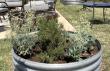 New Exmark Video Explains Benefits of Companion Planting in the Garden