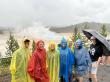 Teton Excursions Opens 2026 Season With Expanded Private Wildlife Tour Lineup for Yellowstone and Grand Teton