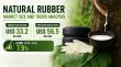 Natural Rubber Market Projected to Reach US$ 56.5 Billion by 2033, Amid Rising Demand from Auto and Industrial Sectors