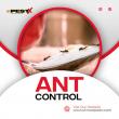  Simcoe Pest X Introduces Free Pest Control Estimates for Barrie and Simcoe County Property Owners