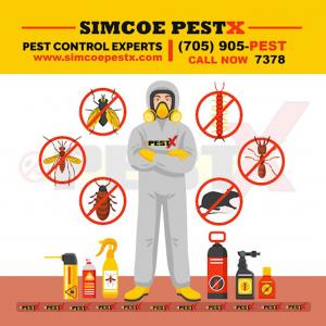 Pest Control Experts