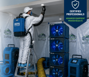Miami indoor air quality restoration and mold remediation specialists