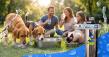 One Water Systems Supports Helen Woodward Animal Center Through Community Water Awareness Initiative 