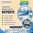 Pickleball Equipment Market 2026- 2033 Overview: Share, Size, Value, Trends, and Key Player Forecast | Selkirk Sport