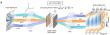 Spatiotemporal Dual-Domain Computing Architecture: A Programmable Photonic Parallel Solver for Differential Equations