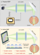 Active retinal projection augmented reality display via pixel-to-pixel collimation