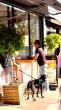 Cheltenham Dining Scene Continues to Grow with Mix of Casual and Independent Restaurants