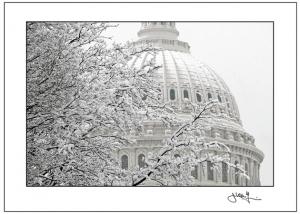 From Blizzards to Blossoms 14 US Capitol in the snow