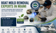 Boat Mold Removal Experts in Miami Launch Advanced Mold Inspection Solutions for Marine Properties