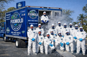 Boat Mold Removal Experts in Miami Launch Advanced Mold Inspection Solutions for Marine Properties 11 Advanced marine mold inspection services helping protect luxury yachts and boat investments in Miami