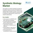 Synthetic Biology Market to Surpass $78.16Bn by 2034 as Engineering Living Cells Becomes the New Industrial Revolution