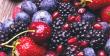 Anthocyanin Market Size to Reach US$1.0 Bn by 2033 Globally