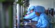Sunshine Electronics: USB-PD Charger Programs Ready for EU Mandate