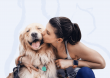 Lap of Love Launches Pet Hospice Journal to Help Families Monitor Quality of Life