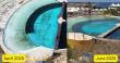 Animal Welfare Coalition Accuses Maltese Authorities of Failing Dolphins at Mediterraneo Marine Park