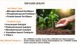 Fertilizer Catalyst Market: Global Market Growth Study, Future Trends, Demands and Top Players Data by Forecast to 2033