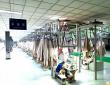 How Does a China Top Intelligent Clothes Hanger System Manufacturer Redefine Productivity? A CleverMax Case Study