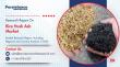 Rice Husk Ash Market Forecast to Climb to US$ 4.1 Billion by 2033 at 4.8% CAGR Driven by Sustainable Construction