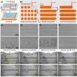 Femtosecond laser direct writing “guiding” Leidenfrost droplet motion