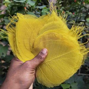 Yellow skeleton leaves held by hand, used for decorative craft, resin art, and DIY creative applications.