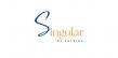 Singular and Holistiplan Integration Solves the 'Fragmented Tech' Crisis for Financial Advisors